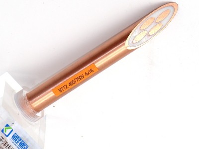 bttz電纜有五芯的嗎？