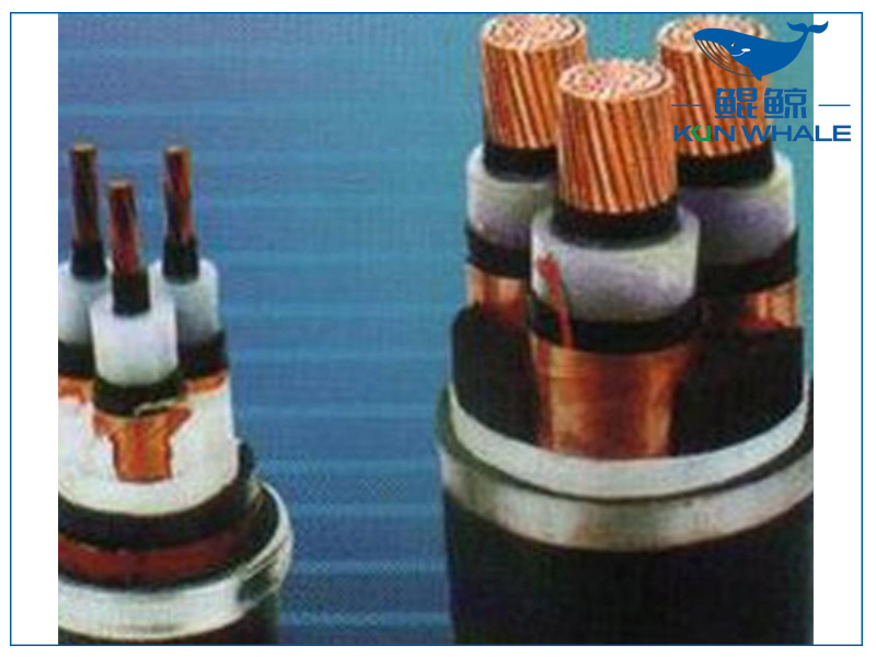 河南太平洋電纜淺談想要家裝電線不被坑，那就看好這五步